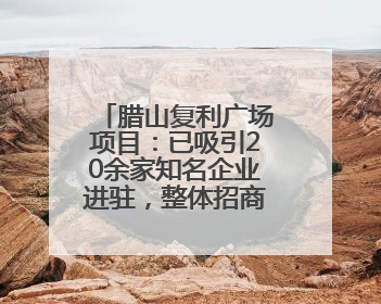 腊山复利广场项目：已吸引20余家知名企业进驻，整体招商率70%